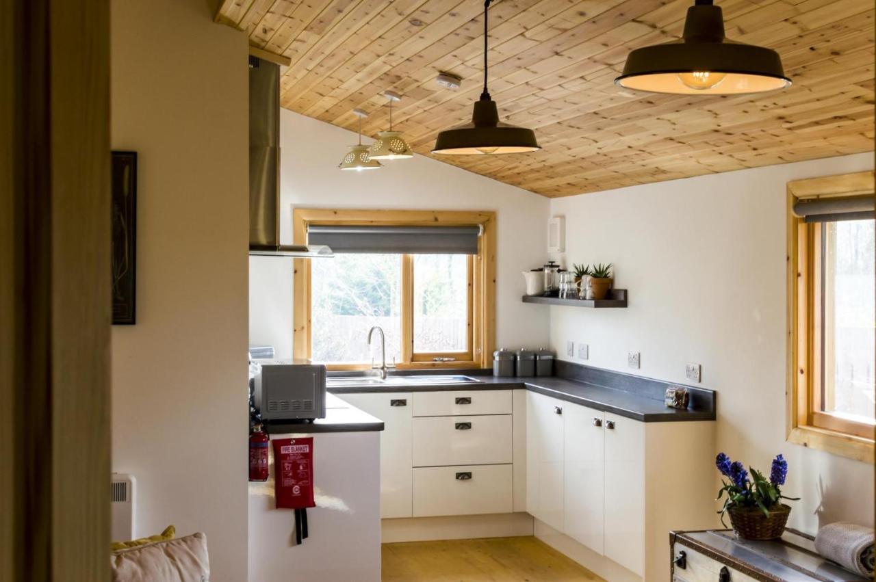 Fern Lodge - 2 Bedroom Log Cabin - Saint Florence - Tenby Dış mekan fotoğraf