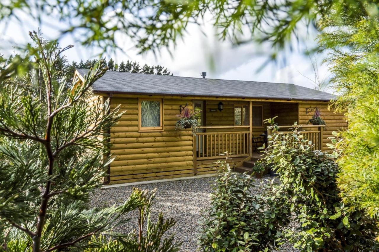 Fern Lodge - 2 Bedroom Log Cabin - Saint Florence - Tenby Dış mekan fotoğraf