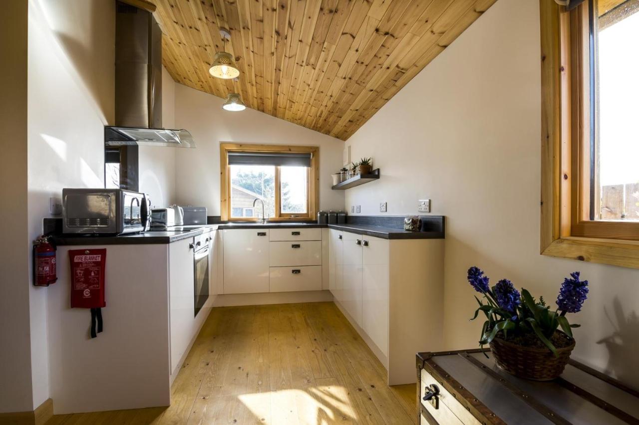 Fern Lodge - 2 Bedroom Log Cabin - Saint Florence - Tenby Dış mekan fotoğraf